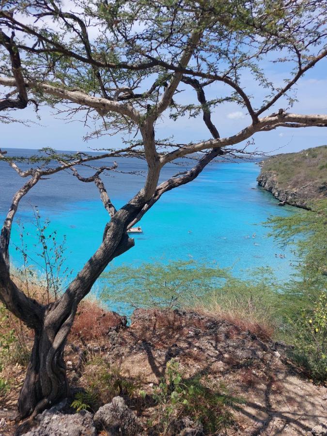 Caribbean Beach Resort Blenchi Curacao 威廉斯塔德 外观 照片